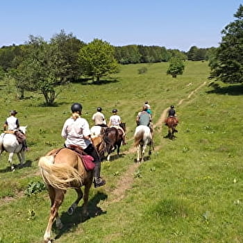 Circuit équestre du Plateau de Retord - HAUT VALROMEY