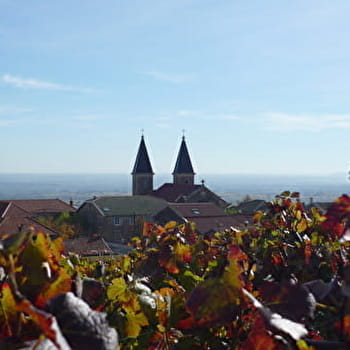 Les sentiers du Gaulois - VILLIE-MORGON