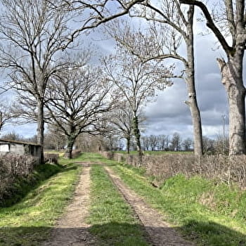 Balade Verte - Sur le haut du village (VSG 1) - VARENNE-SAINT-GERMAIN