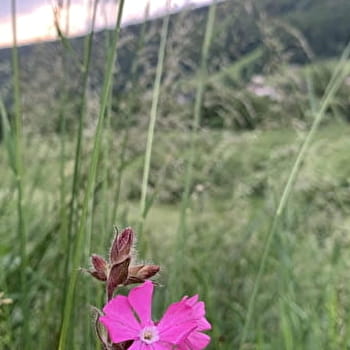 Randonnée pédestre : Lélex - belvédère du Truchet - LELEX