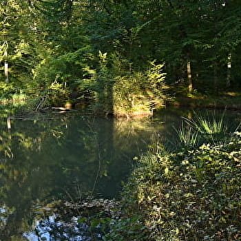 Fontaine en Bertranges - RAVEAU