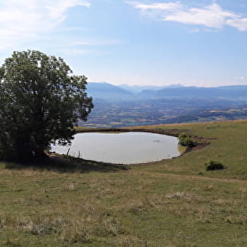 Randonnée pédestre : La Montagne des Princes - DROISY