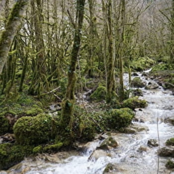 Sentier des Maquisards - CERDON