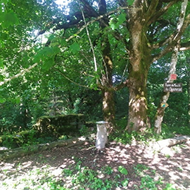 Du coin d'amont au coin d'aval