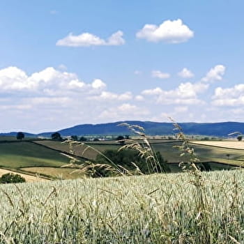 Circuit du Breuil - SAINT-BERAIN-SOUS-SANVIGNES