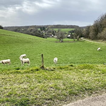 En forêt autour de Cessy-les-Bois - CESSY-LES-BOIS
