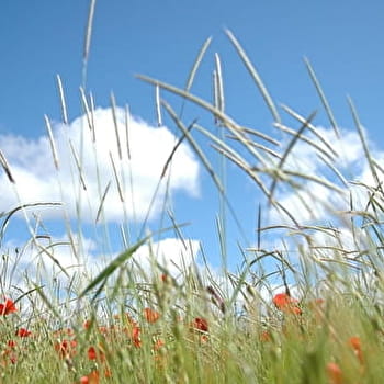 Ferme du Hameau - PRECY-SOUS-THIL