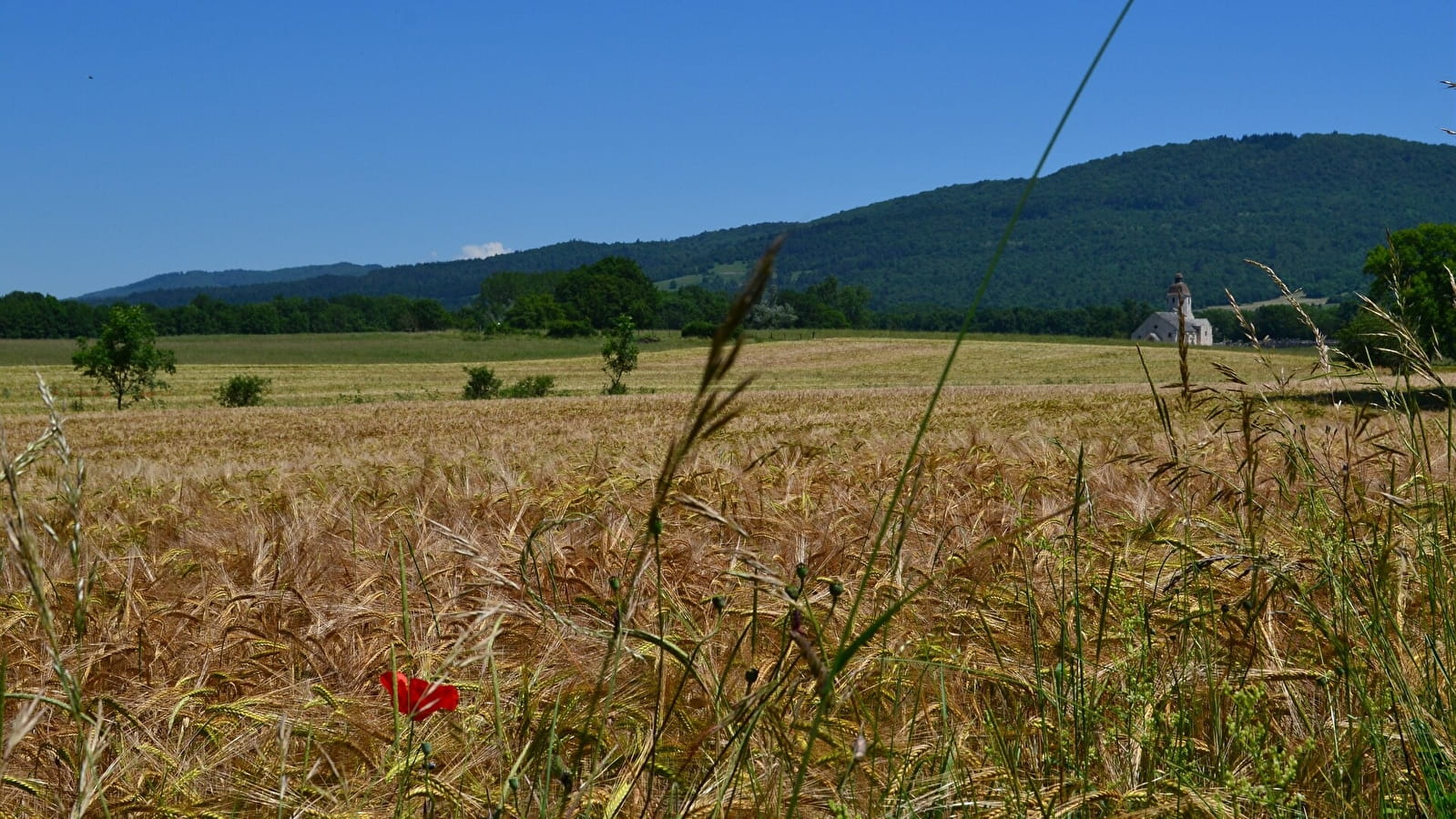 Boucle 17 : Vallée du Suran