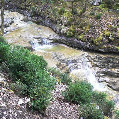 Les voiles du Landeyron - Parcours marche nordique n°5