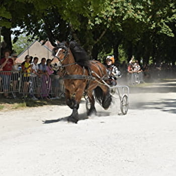 Course à la Timbale - Fêtes de la Bague - SEMUR-EN-AUXOIS