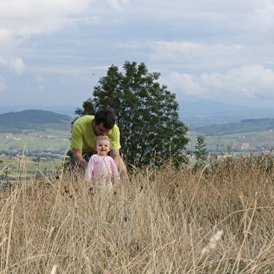 Circuit Les Coteaux du Beaujolais