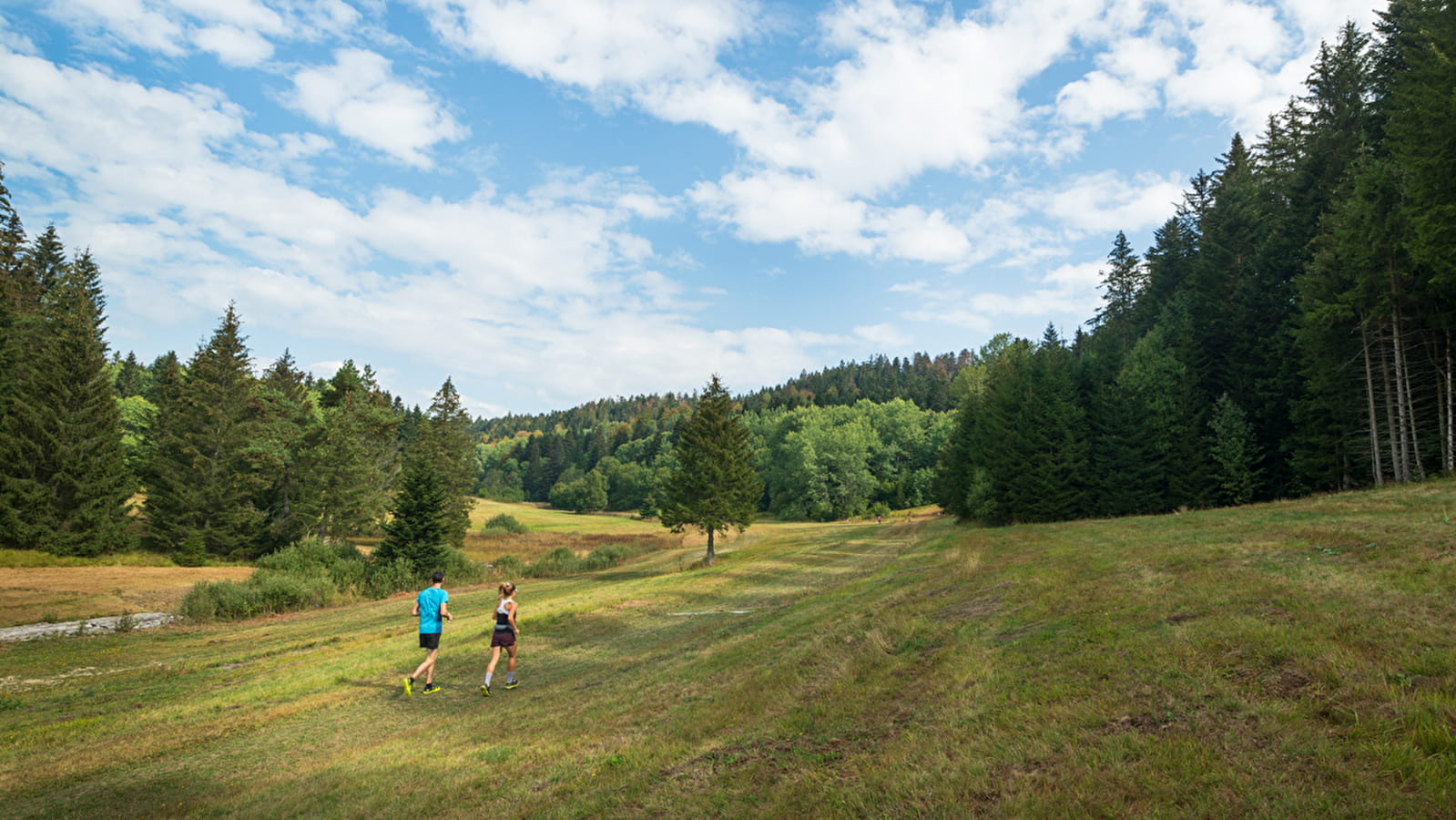 La boucle du Liaz d'Amont - Parcours de trail n°21