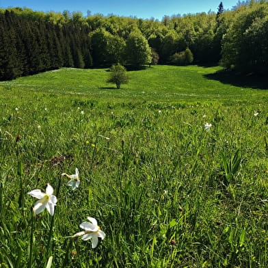 Circuit vélo : le Plateau de Retord entre combes et cols
