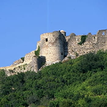 Circuit 01 : Le Suzon et les falaises de Baulme - DIJON