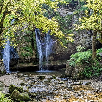 Parcours VTT 51 bleu - Marais de Vaux les Teillères - Espace FFC Ain Forestière