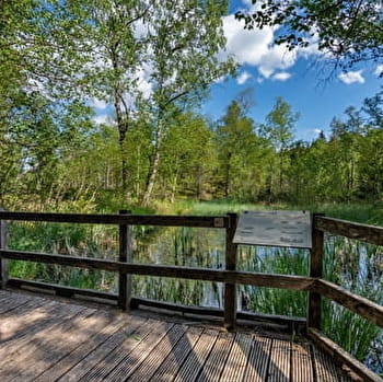 Tourbières de Frasne-Bouverans (Grande boucle - départ Moulin) - FRASNE