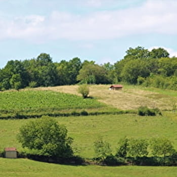 Bocage Brionnais - OYE