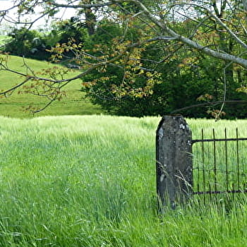 Balade - Verjon et Salavre, deux villages du Revermont - VERJON
