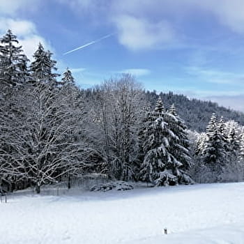 La ferme Guichard depuis la Praille - Circuit raquettes - PLATEAU D'HAUTEVILLE