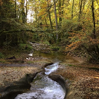 Circuit de randonnée pédestre : La vie du Loup