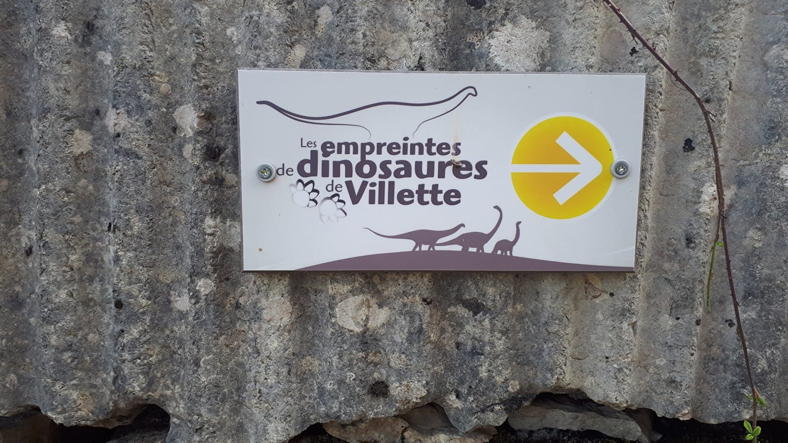 Les empreintes de dinosaures de Villette