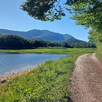Circuit de randonnée pédestre : Le Lac d'Armaille - ARBOYS EN BUGEY
