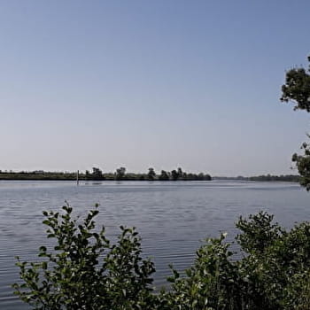 Bords de Saône et Voie Bressane - CUISERY