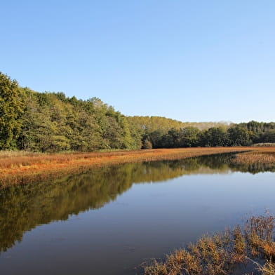 Le Sentier des Étangs de la Bresse Jurassienne