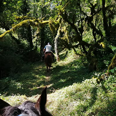 Circuit équestre Les Côteaux du Revermont