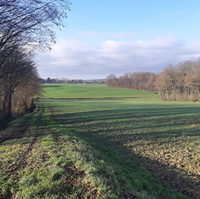 A la rencontre du père de l'Europe