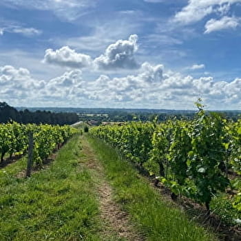 Au coeur historique de Saint-Martin-Belle-Roche - SAINT-MARTIN-BELLE-ROCHE