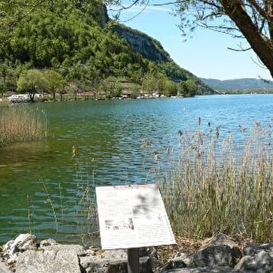 Circuit découverte de Nantua
