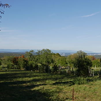 Par Lomont et par vaux - MONTBELIARD