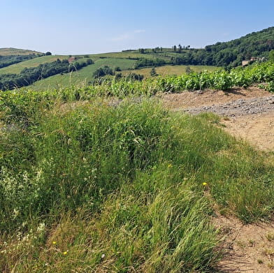 Grand circuit de Blacé