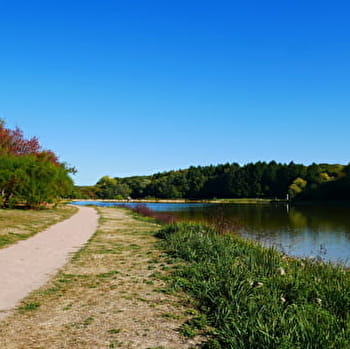 Circuit VTT Bois de la Brosse - VARENNES-VAUZELLES