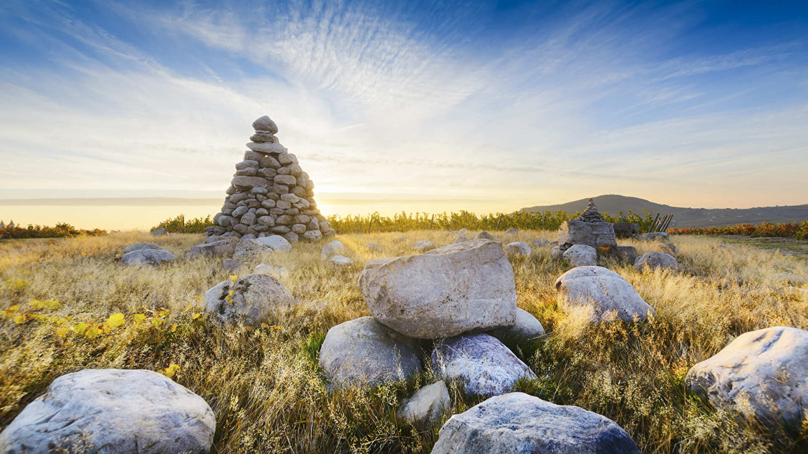 La Tour Bourdon - Beaujolais - Regnié-Durette