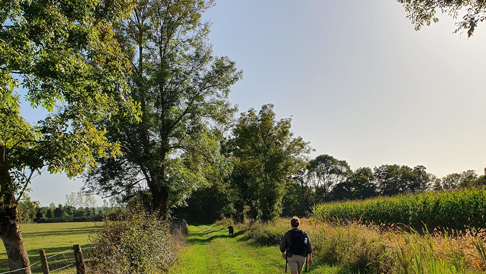 Circuit randonnée : les Platières