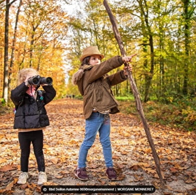 Balade et parcours d'activités en forêt de Seillon