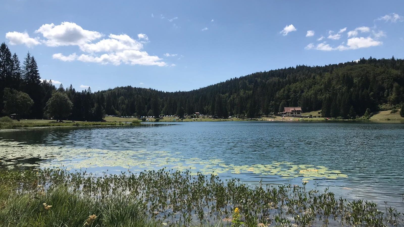 Parcours VTT 68 bleu - Lac Genin et les bois de Puthod et des Millières - Espace FFC Ain Forestière