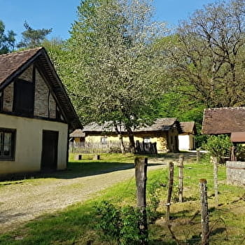 Sentier des Radeliers - LA VIEILLE-LOYE