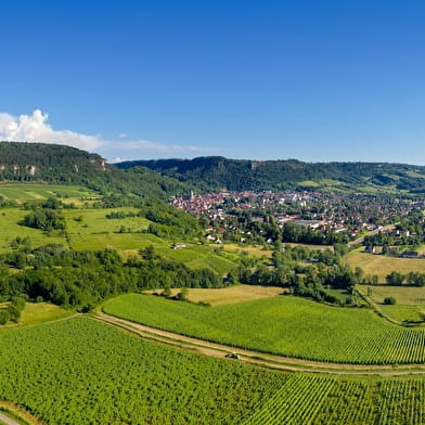 Boucle 24 : la Coulée Douce