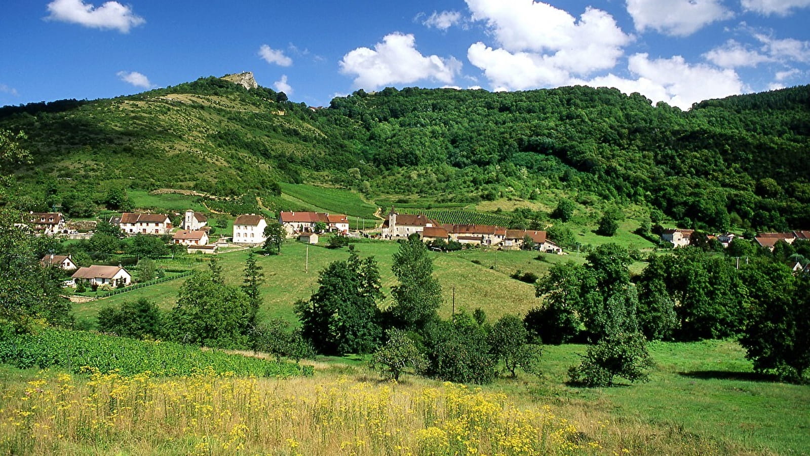 Entre Sonnette et pins