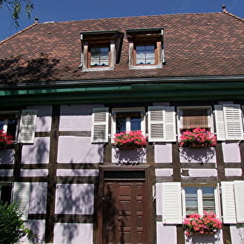 Au fil de la Suarcine - SUARCE