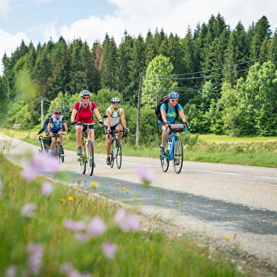 Circuit Jurassic Vélo Tours n°44 - Entre Cascade de Charabotte et Marais de Vaux