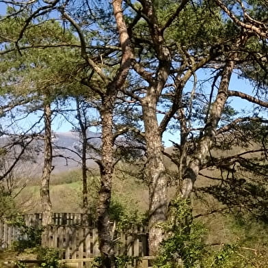 Les berges du Rhône