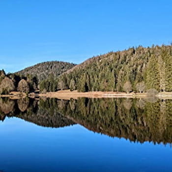 Le lac Genin - Parcours de trail n°9 - OYONNAX
