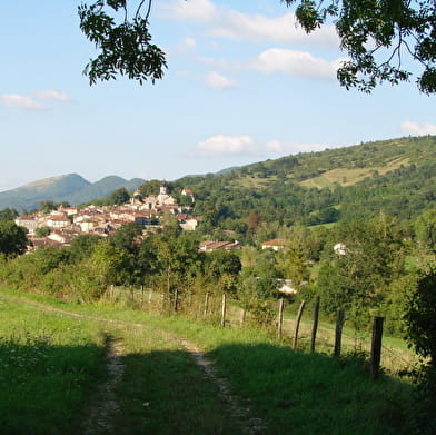 Randonnée - Les Crêtes de Treffort