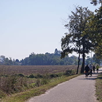 Détour en Bresse Chalonnaise - LOUHANS