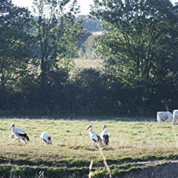 Il faut le chercher pour le trouver -