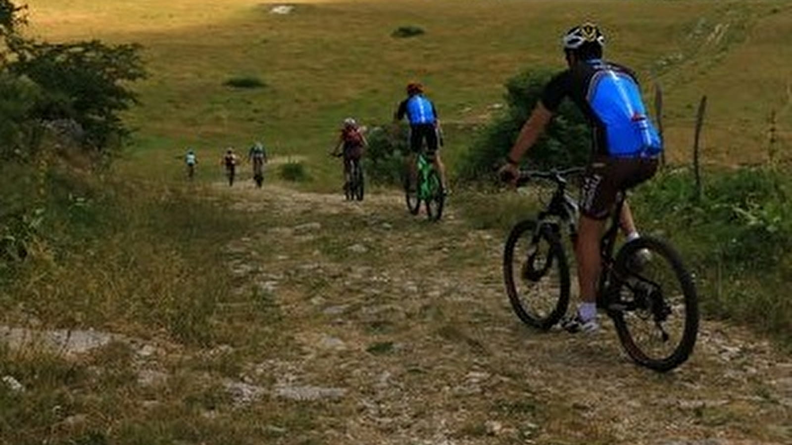Parcours VTT 11 bleu - Le tour de la Chèvre - Espace FFC Ain Forestière